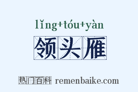 领头雁是什么意思的图片